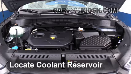 2016 Hyundai Tucson SE 2.0L 4 Cyl. Coolant (Antifreeze) Flush Coolant